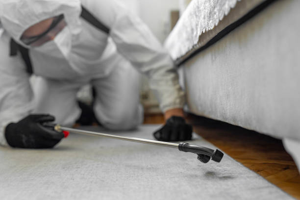 Professional Mosquito Control technician working in Plainview, NE